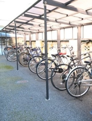 11/20 その他画像