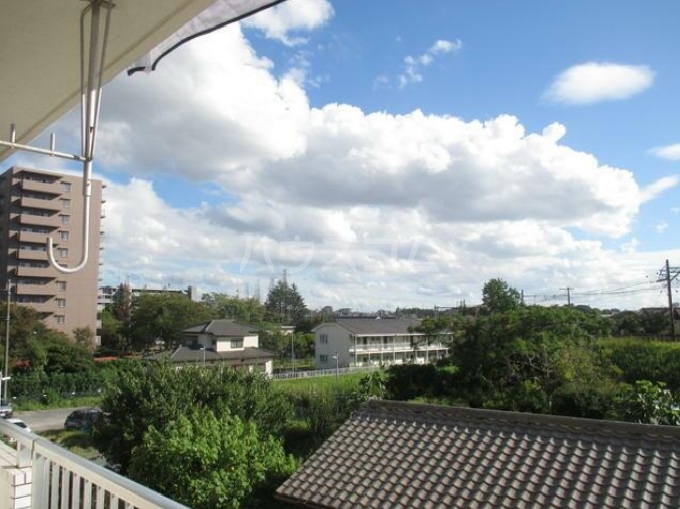 14/19 その他画像