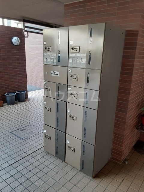 20/30 その他画像