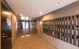 3/14 その他画像