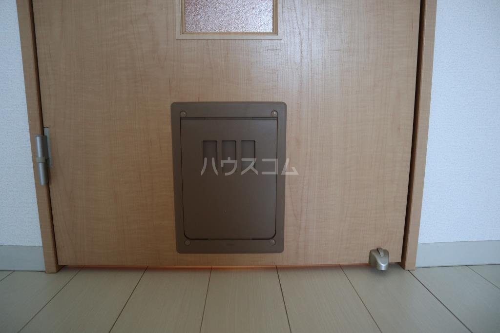 15/20 その他画像