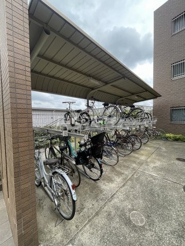 その他共有
