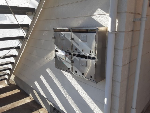 20/30 その他画像