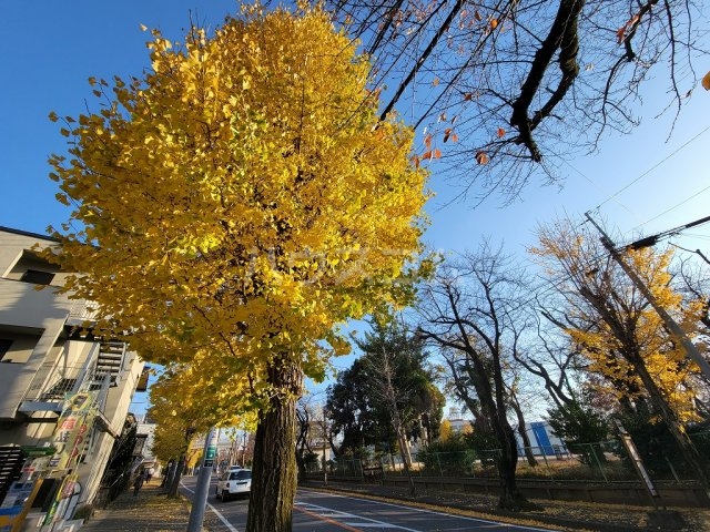 20/30 その他画像