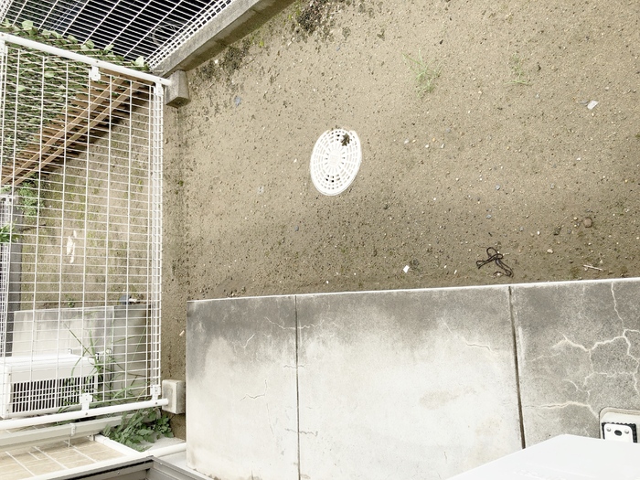 16/25 その他画像