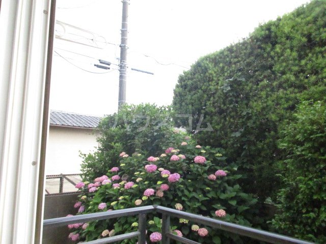 17/22 その他画像