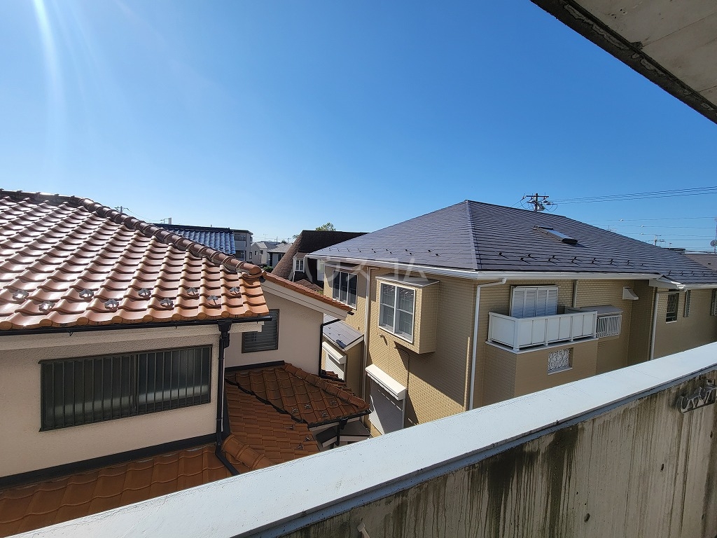 20/30 その他画像