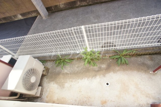 11/14 バルコニー