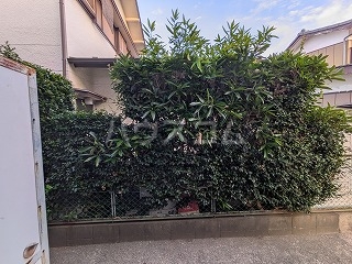 15/20 その他画像