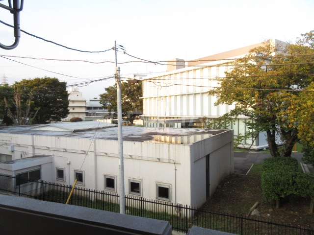 20/30 その他画像