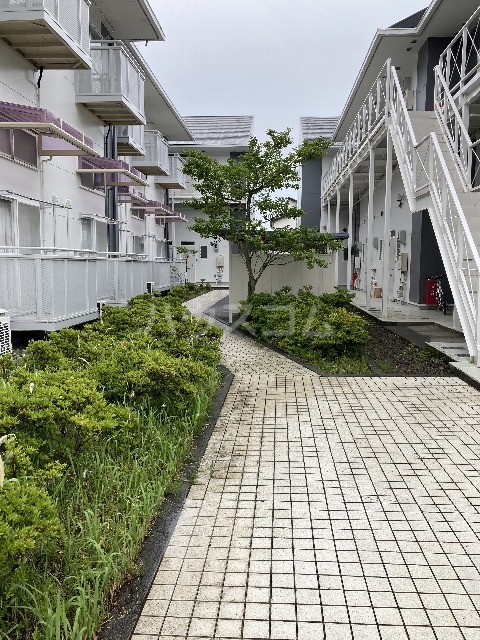 15/19 その他画像