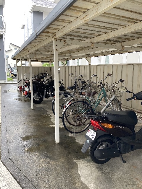 17/19 その他画像