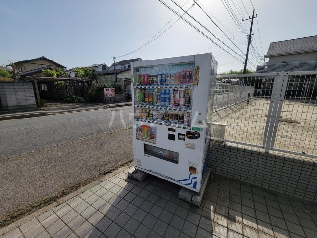 20/30 その他画像