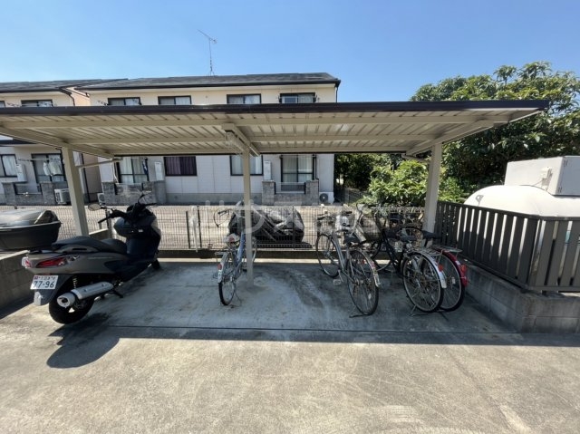 20/30 その他画像