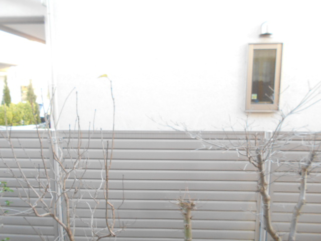 17/30 その他画像