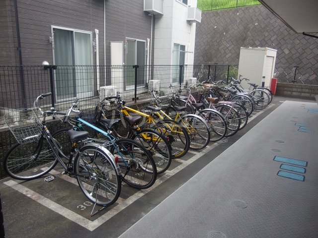 20/30 その他画像