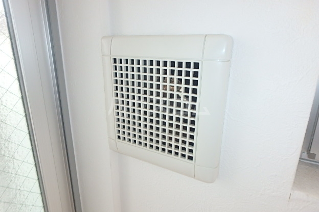 21/29 その他画像