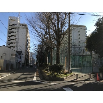 15/24 その他画像