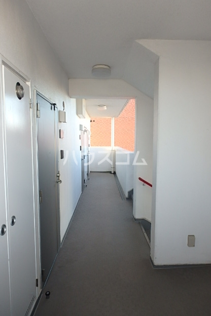 20/30 その他画像