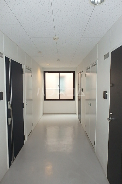 17/29 その他画像