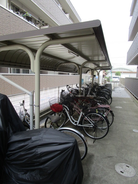 20/30 その他画像