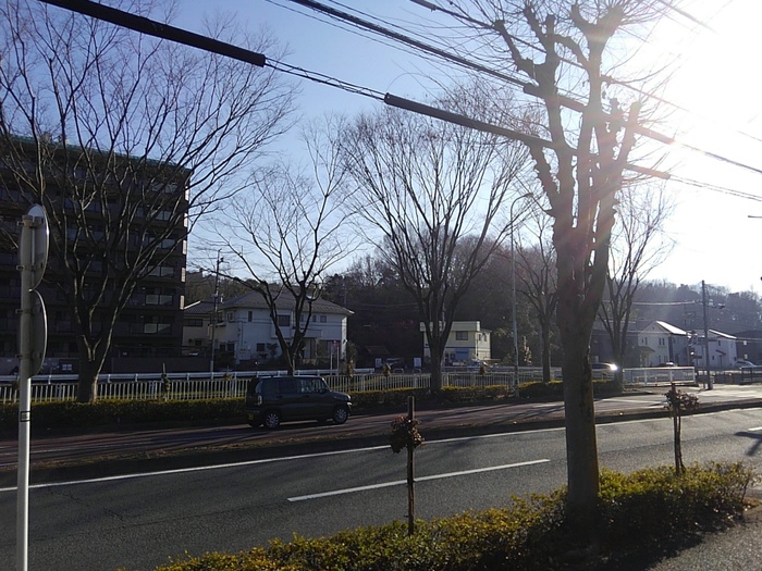 12/24 その他画像