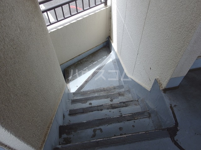 20/30 その他画像