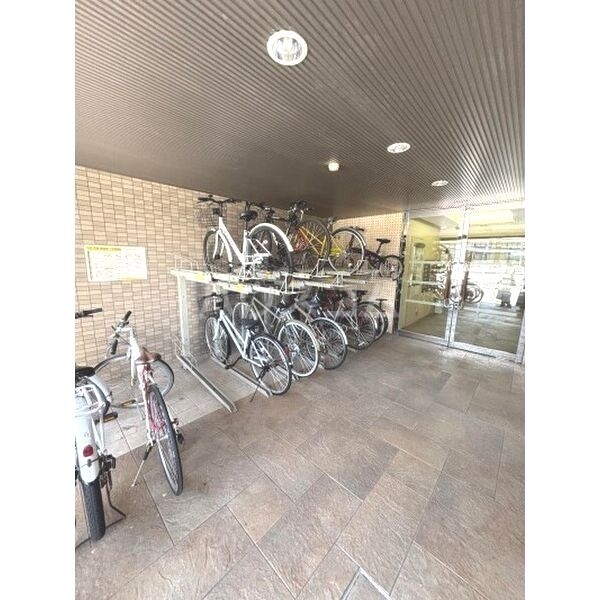 5/16 その他画像