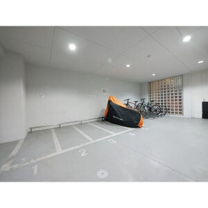 11/22 その他画像