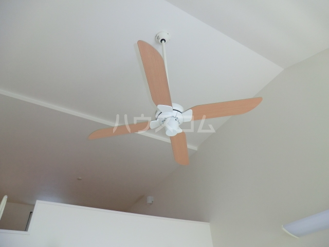 15/29 その他画像