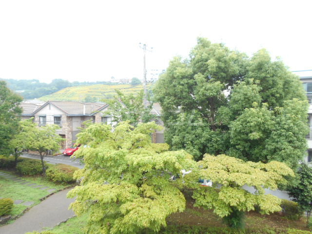 15/30 その他画像