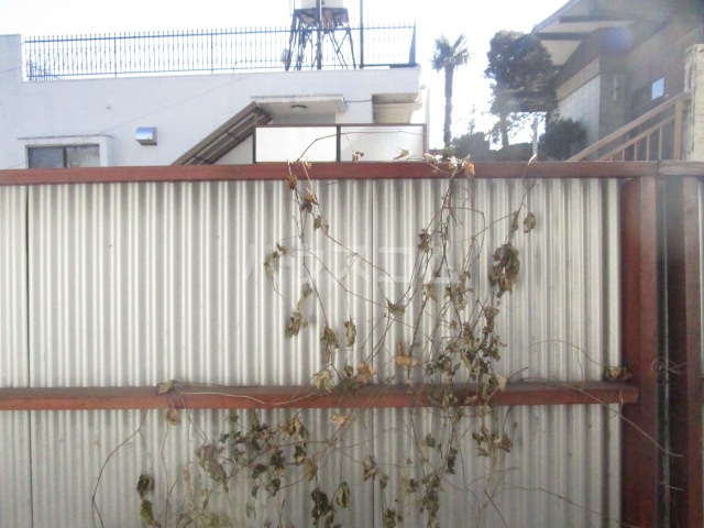 15/30 その他画像