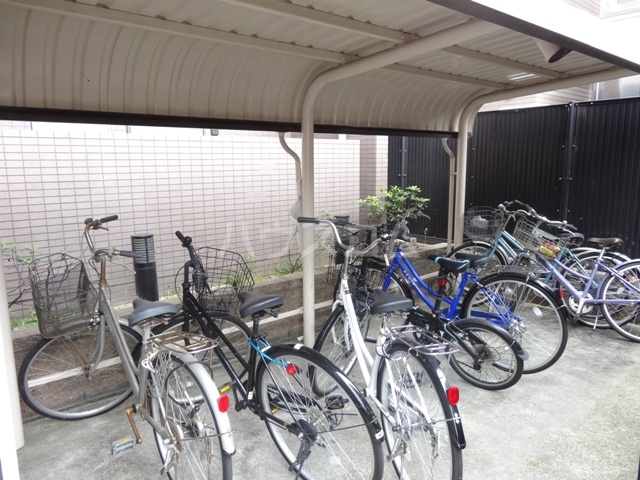 20/30 その他画像