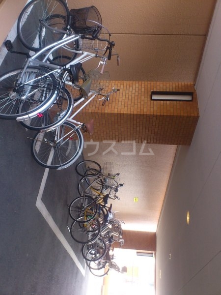 20/30 その他画像