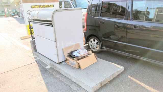 20/30 その他画像