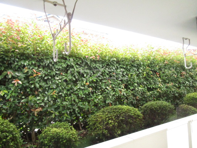 9/24 その他画像