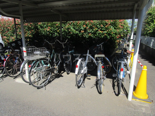 11/24 その他画像