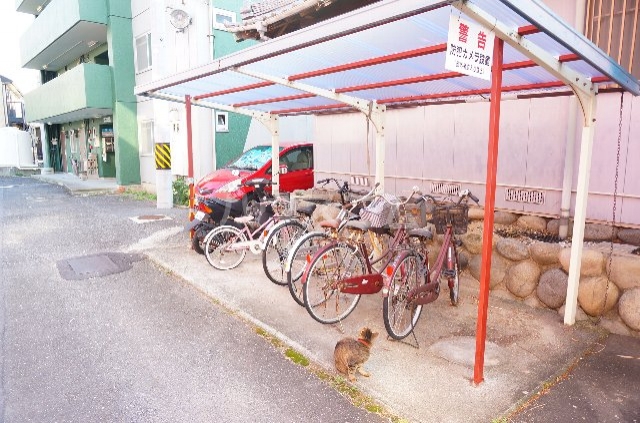 19/29 その他画像