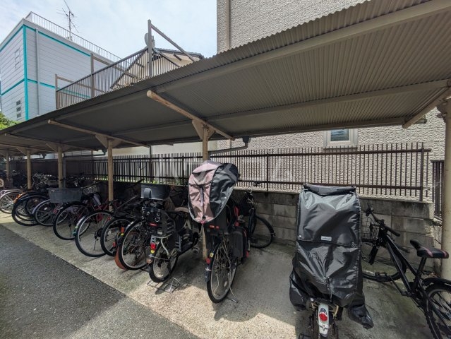 その他画像