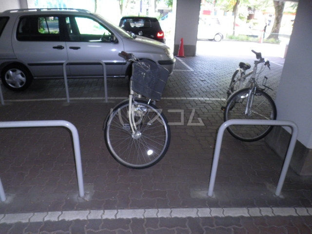 17/25 その他画像