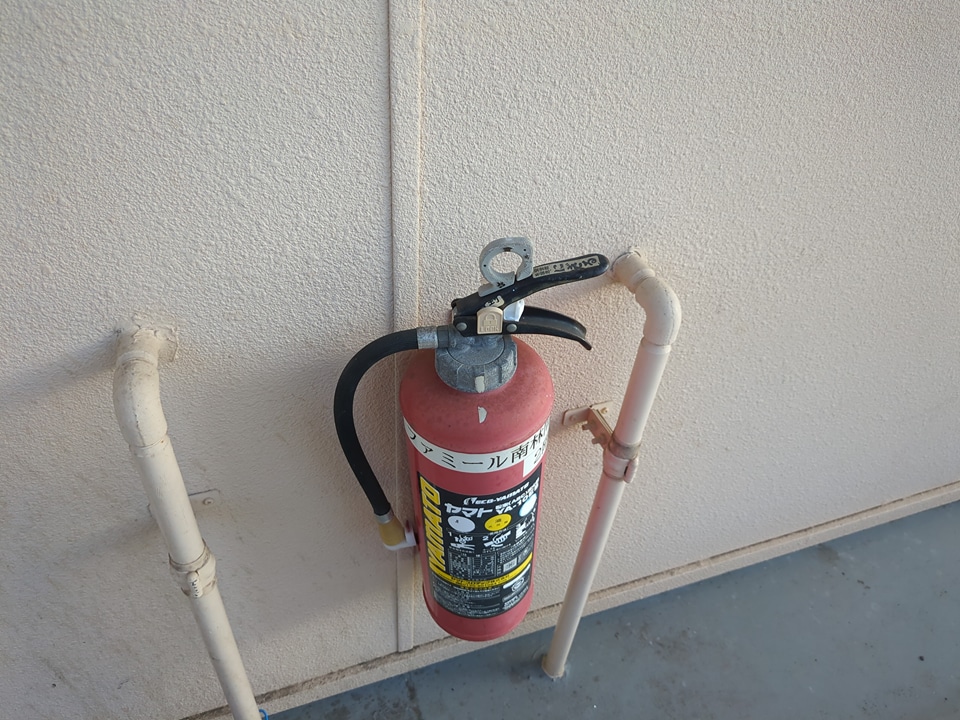 29/30 その他画像