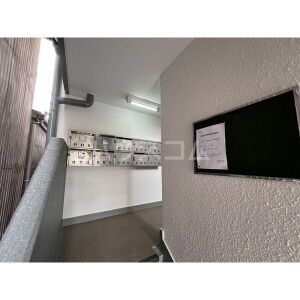 15/23 その他画像