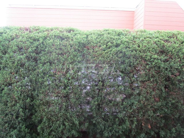 16/30 その他画像