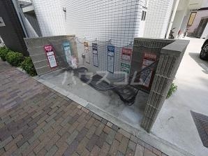 17/25 その他画像