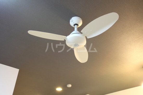 16/24 その他画像