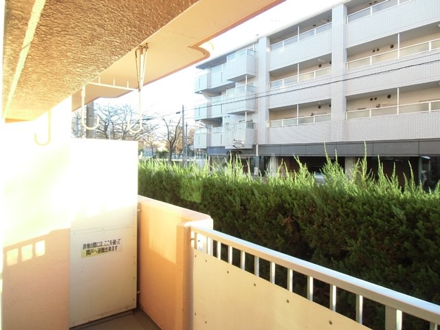 13/21 その他画像