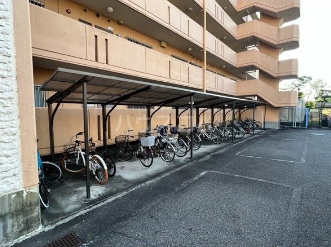 15/19 その他画像