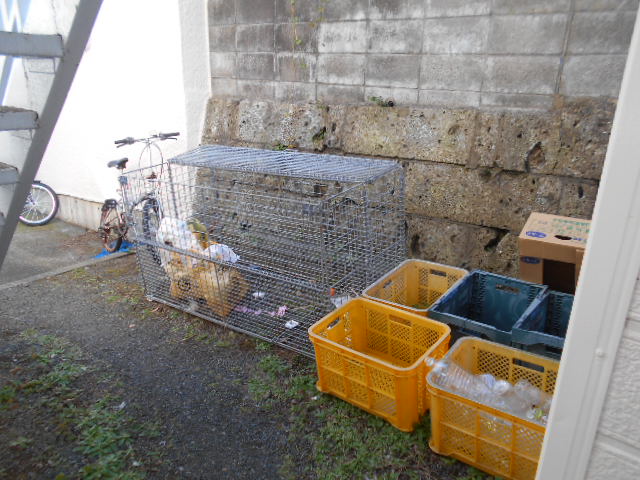 19/30 その他画像