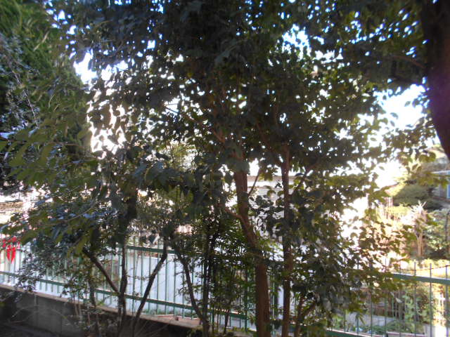 16/30 その他画像