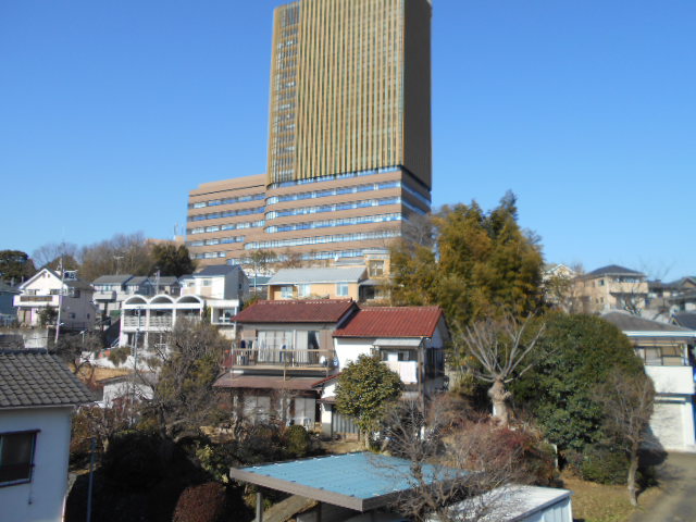 20/30 その他画像